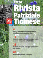 rivista